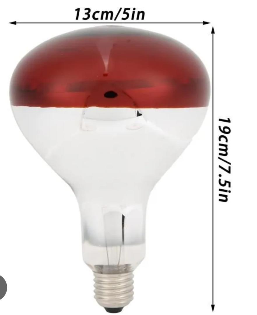 Lampe Infrarouge